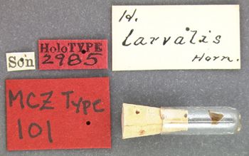 Media type: image;   Entomology 101 Aspect: labels